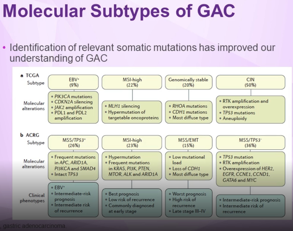 Molecular Subtypes of Gastric Cancer