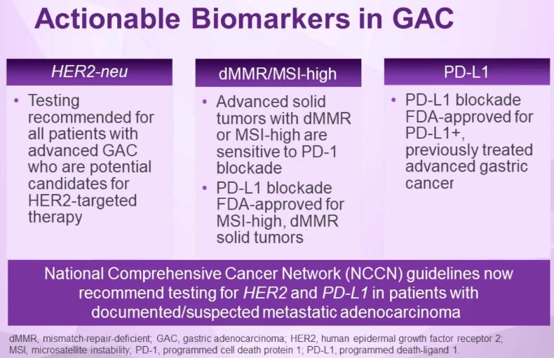 Actionable Biomarkers of Gastric Adenocarcinoma
