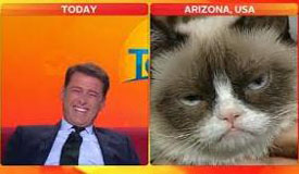 Grumpy Cat