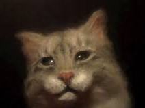 Cat Song