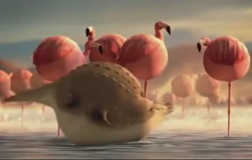 Fat animals