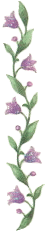 animated flower