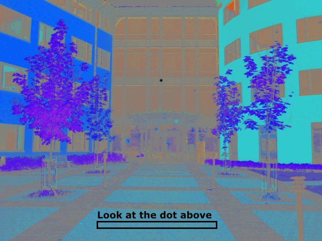 Color Afterimage Illusion