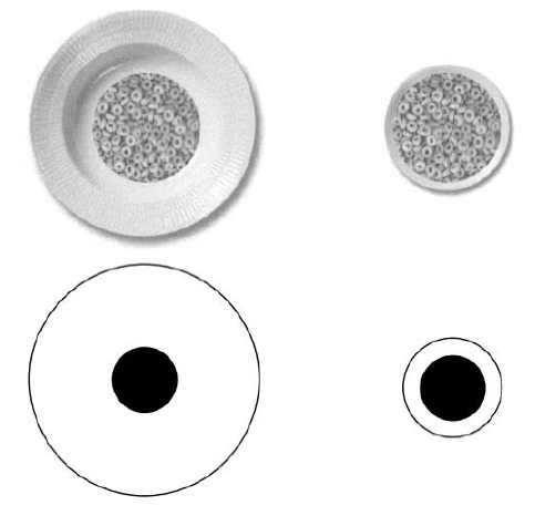 Plate size and Delboeuf illusion