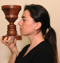 Ambiguous figure-ground illusion: Three-face/Vase Illusion