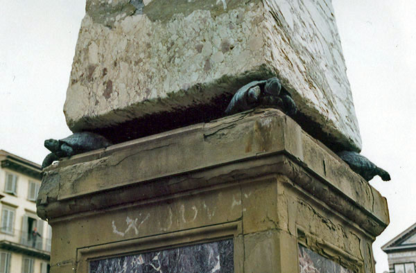 Tortoises as the supporting agent