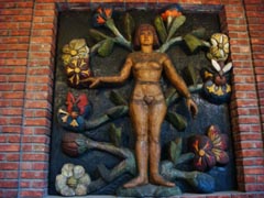 Embla