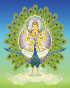 Mahamayuri