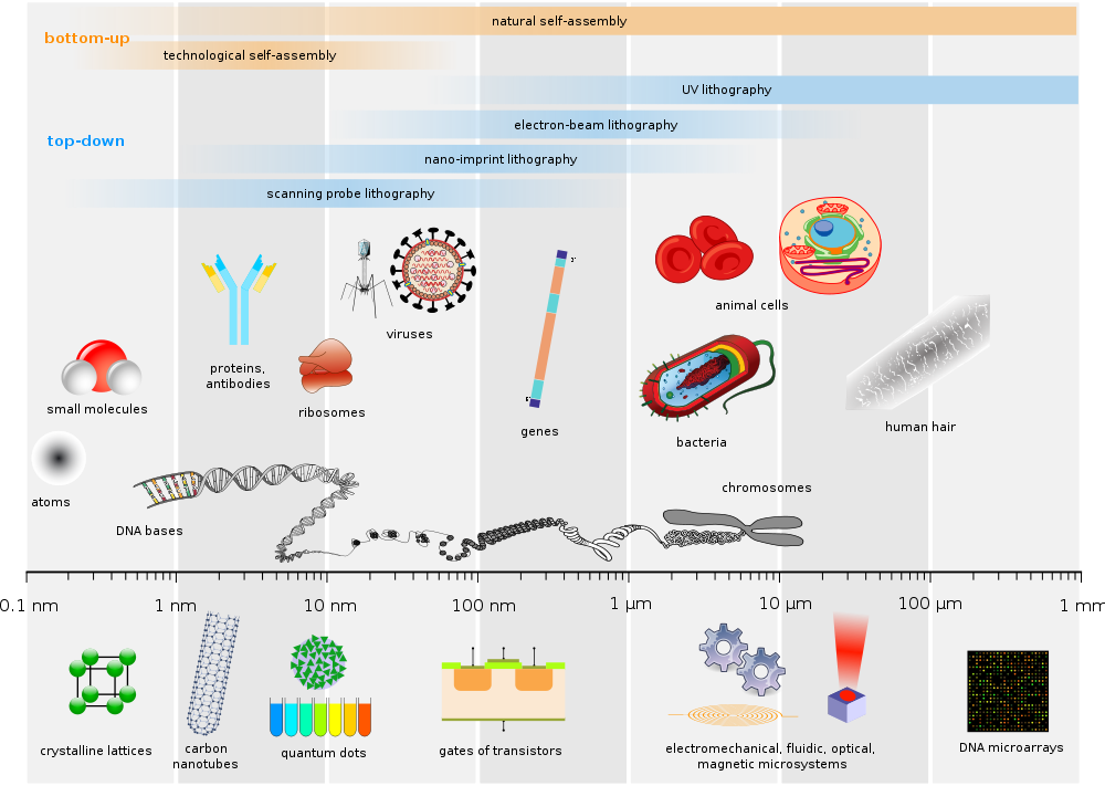 Comparison of various biological assemblies and technological devices.
